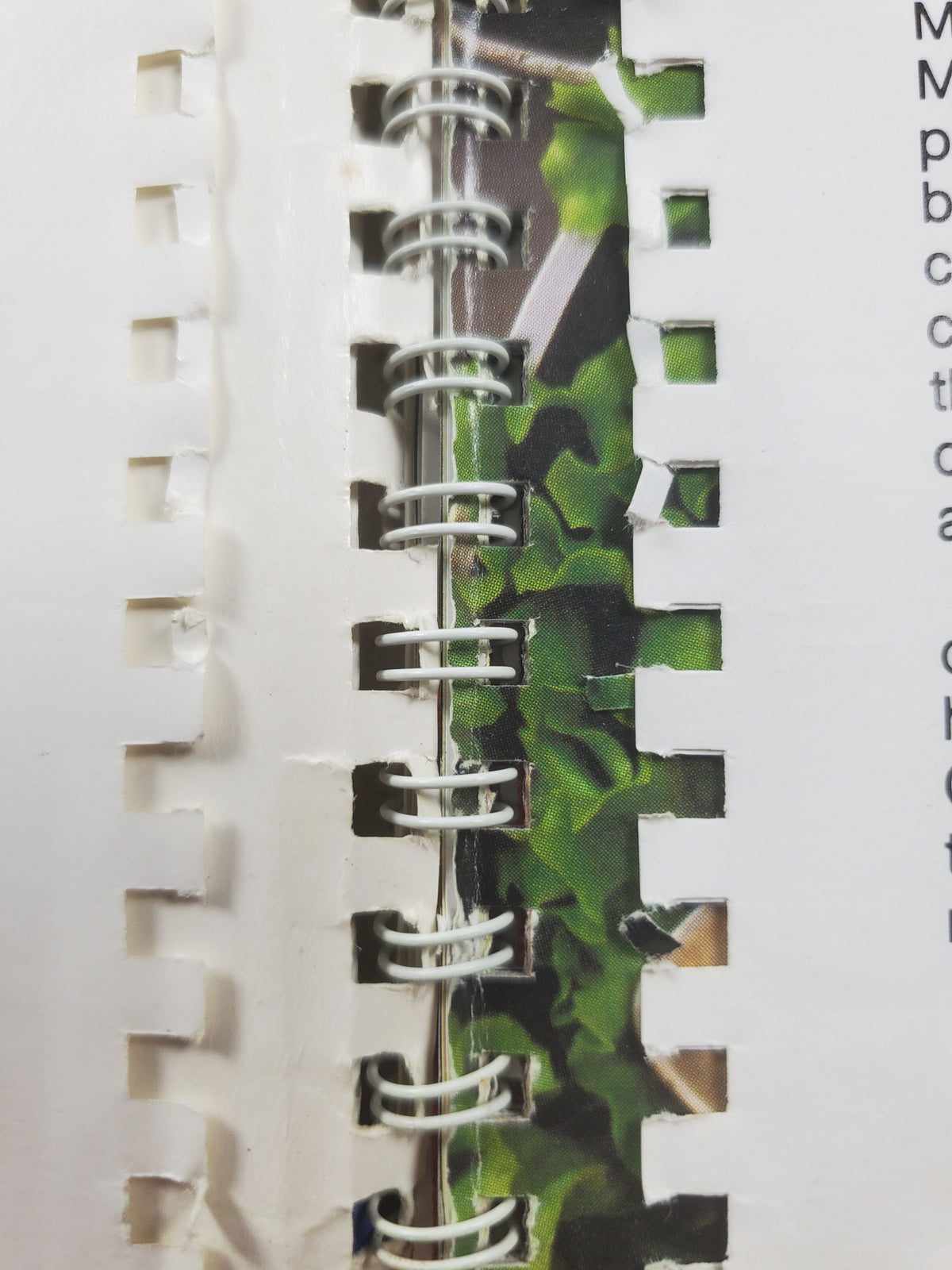Kingsford Great Barbecues cookbook, Spiral Bound