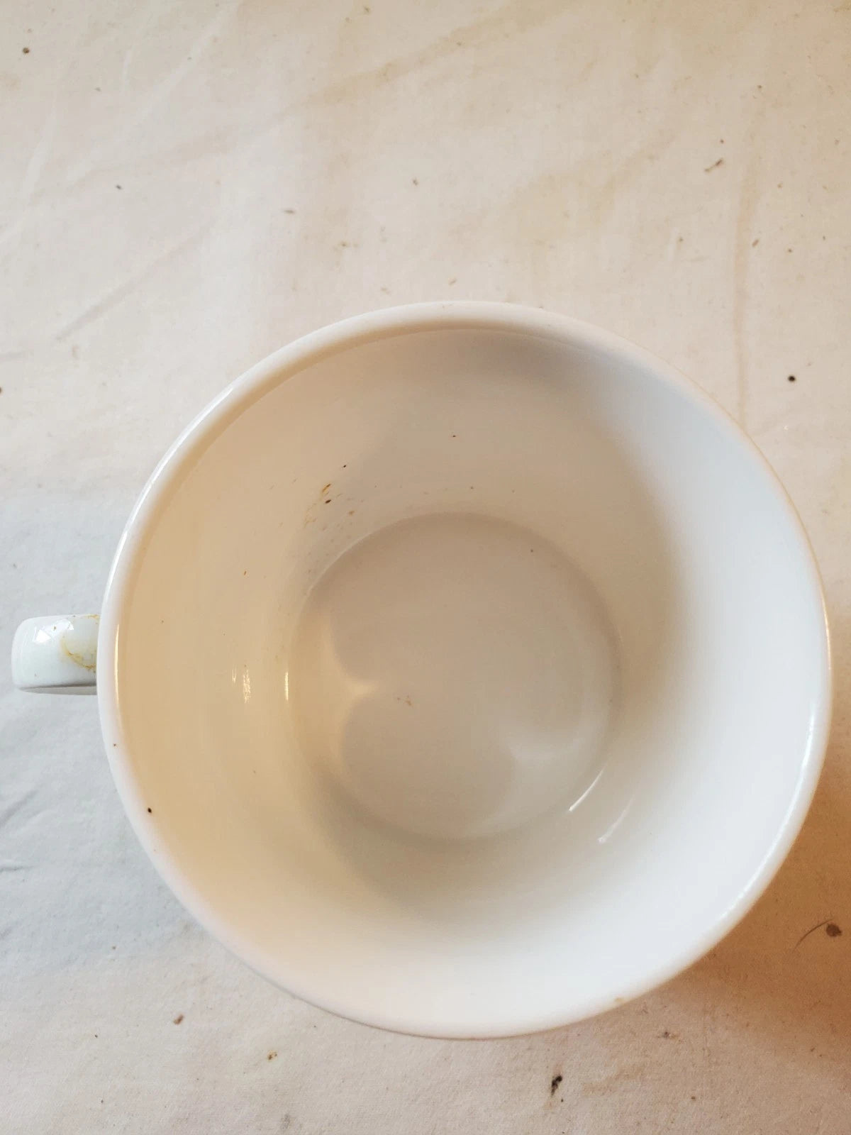 MIKASA MAXIMA - ROYAL SONATA - CAM 21 - Replacement cup