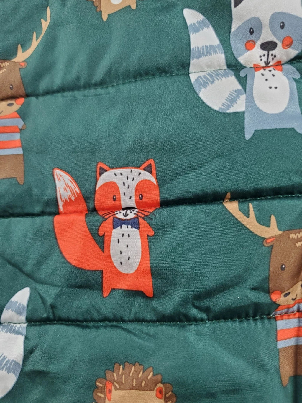 The Children’s Place Winter Coat–Green–Fox<wbr/>, Raccoon &amp; Moose Characters – Size 4T