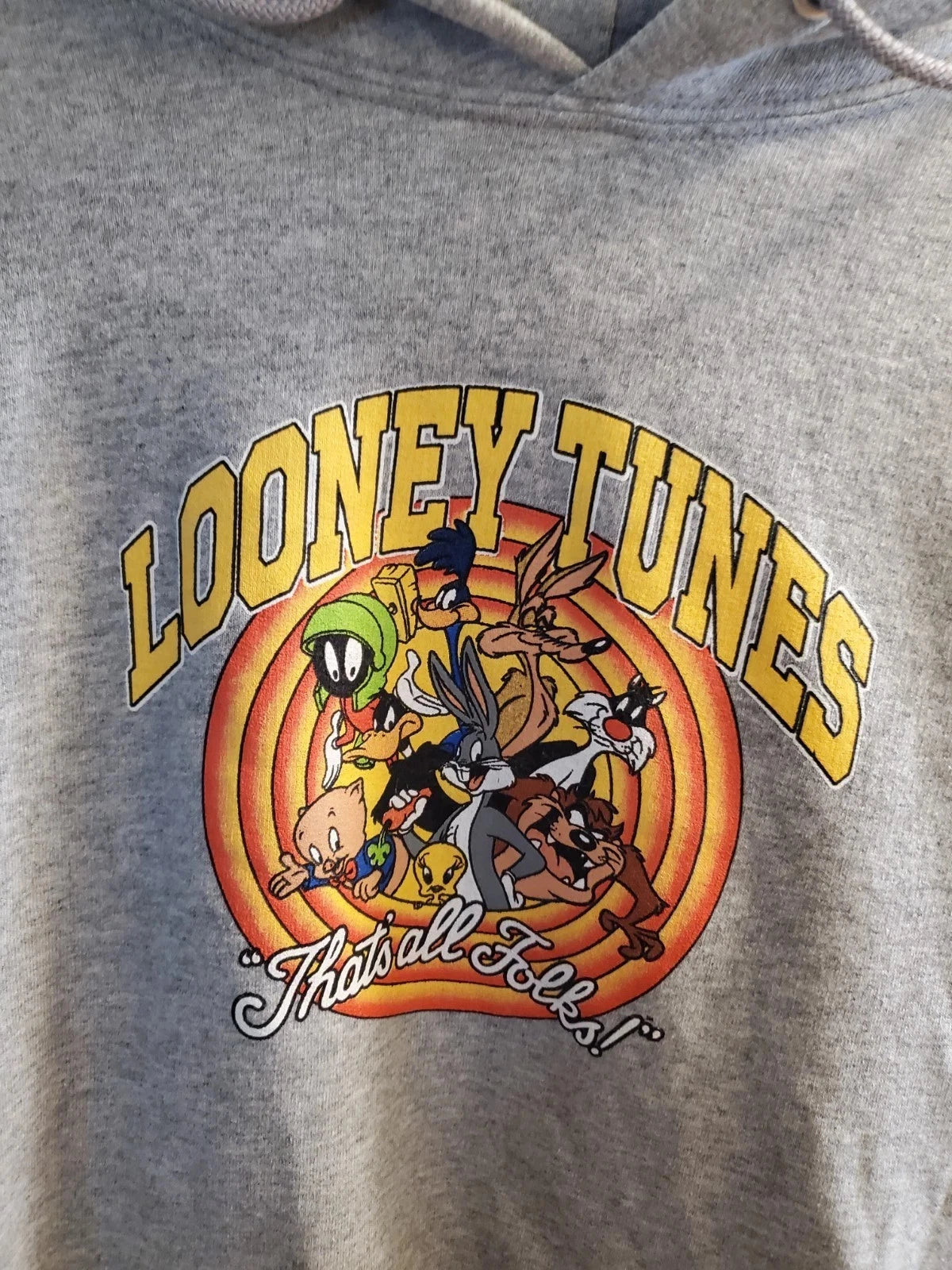 Looney Tunes "That's All Folks!" Gray Pullover Hoodie Sweatshirt, M