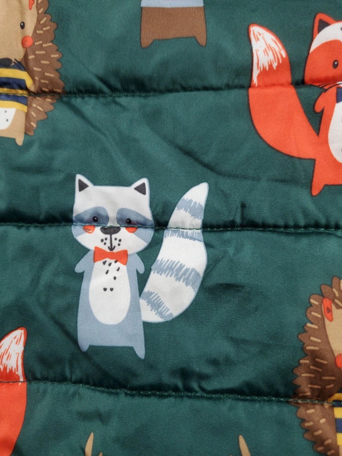 The Children’s Place Winter Coat–Green–Fox<wbr/>, Raccoon &amp; Moose Characters – Size 4T